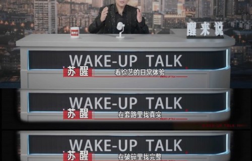 苏醒为什么宣布不再参加陌生嘉宾的真人秀？