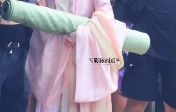 网友如何评价赵今麦粉衣绿花钿造型