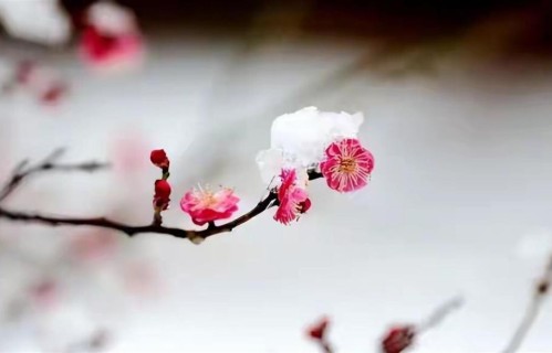 两性关系56岁的我发现，大多数男性到了六十岁，都变得无欲无求了