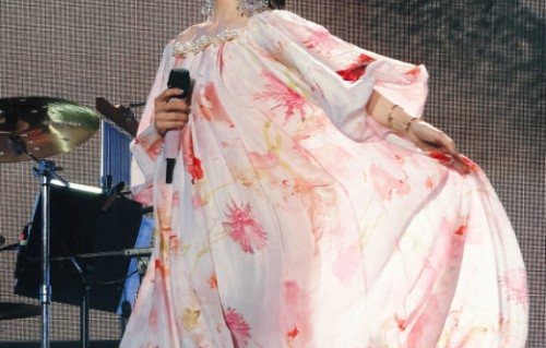 周蕙在武汉演唱会泪洒舞台的具体瞬间是什么样的？