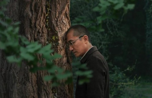 终于明白为什么非梁朝伟不可|伊尔蒂科·茵叶蒂|寂静的朋友|沉默|一棵树|穿越