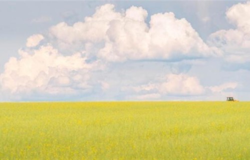 2026年最新研究：真正让女人上瘾的，不是钱，是这4种“生理本能”