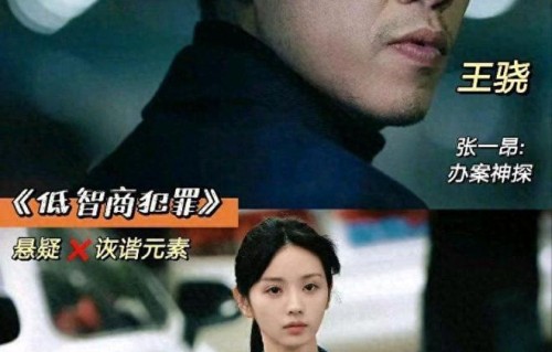 《低智商犯罪》演技排名：王传君倒数，王骁第三，第一实至名归