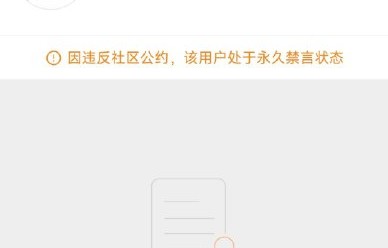 黑粉如何利用宁艺卓母亲照片进行攻击？