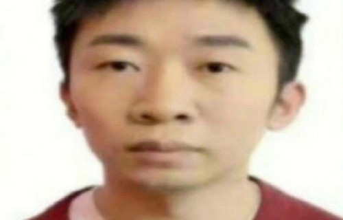 刘震云称杨迪春晚表情包英俊，网友玩梗系闲趣|表情包集锦|负鼠|工作证|经典|乐趣