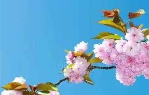 女人用这3种方式回你微信，就是拒绝你，别纠缠，及时止损