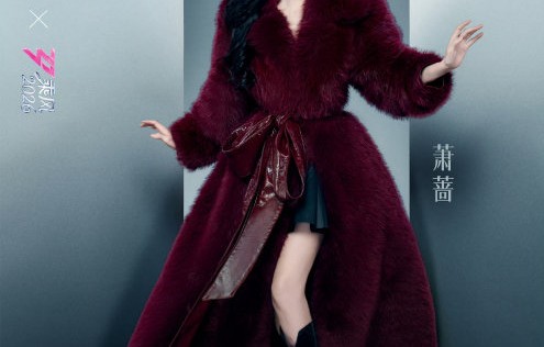 萧蔷早年被称为‘花瓶’，她是如何通过自身努力打破这一标签并获得认可的？