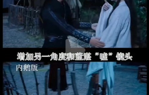 魏无羡和蓝忘机在剧中的结局有哪些不同？