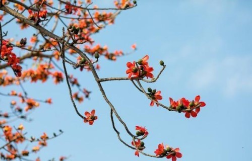 一段感情结束前最残忍的信号：不是吵架，不是拉黑，而是这3个字