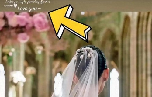 奚梦瑶晒婚礼背影照！发图感谢婆婆，戴赌王四太古董发卡