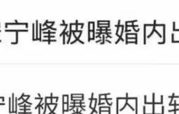 宋宁峰出轨后续：细节曝光，女主身份被扒，高清照流出难怪会喜欢