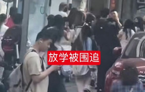 路人怎么看魏子宸粉丝这次维权行动