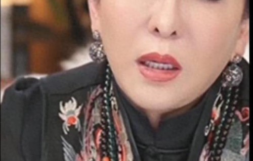 向华强女儿说向太拿烟头烫她，向太说后妈难当，网友：你撒谎！