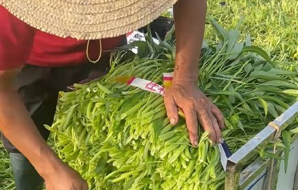 aespa大爆曲Drama：从转型封神到全球巡演售罄