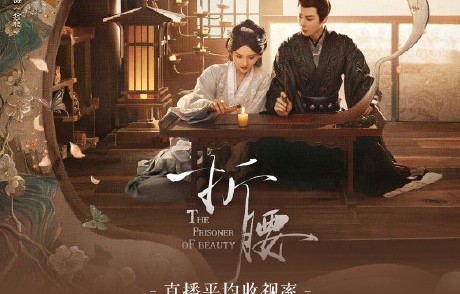 刘宇宁主演的《折腰》刷新了哪些收视纪录？