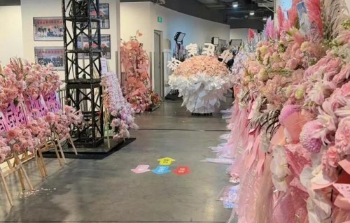 谢娜曾在杨紫生病时像姐一样亲手煮清汤面杨紫一直记着这份温暖