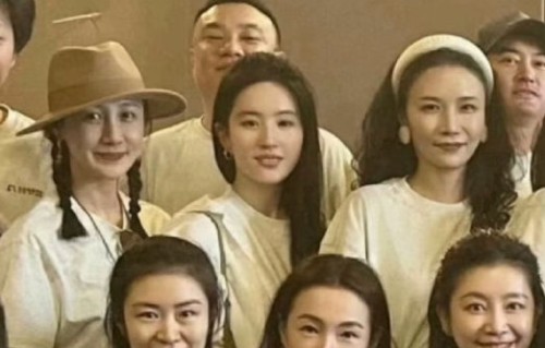 网友是如何评价刘亦菲在这次同学聚会上的表现的？