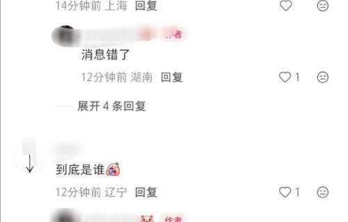 《歌手2026》中阿云嘎与齐豫的配对被称为什么合作，有何独特看点？