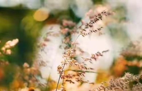 写下无病无灾，便是人间万般美好