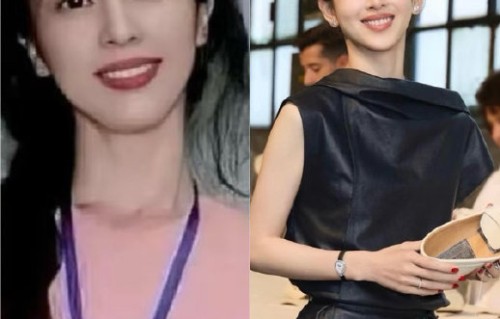网友对章泽天撞脸刘晓莉有何不同看法？