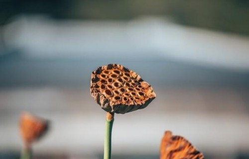 不喜欢去别人家，也不喜欢别人来自己家的人，多半是这几种