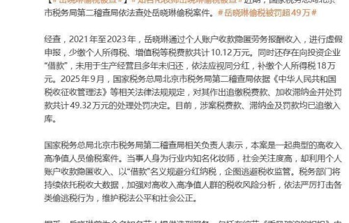 知名化妆师岳晓琳因偷税被查，3年仅纳税1100元，曾为多位艺人提供舞台造型