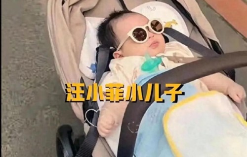 小箖箖过生日，马筱梅在北京晒儿子，保姆在公园直播，汪家变化大