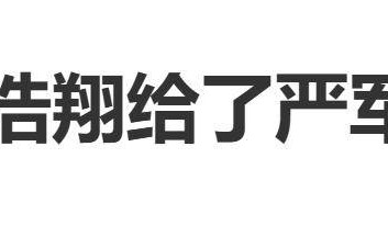 周琼说严浩翔给了严军300万