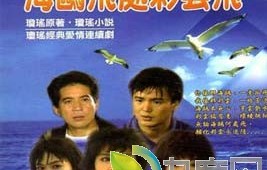 电视剧海鸥飞处彩云飞分集剧情介绍第1-40全集大结局[1] - 九度网