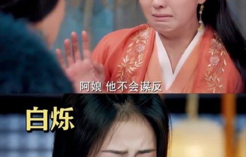 《茶花开了》为什么能帮白鹿入戏哭戏？