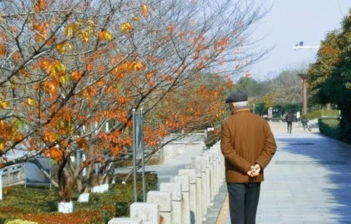晚年最大的清醒：不是存折几位数，而是守住这三样命根子