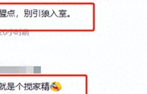 马筱梅野心藏不住了！建国曝汪小菲猛料和S家有关，张兰彻底傻眼