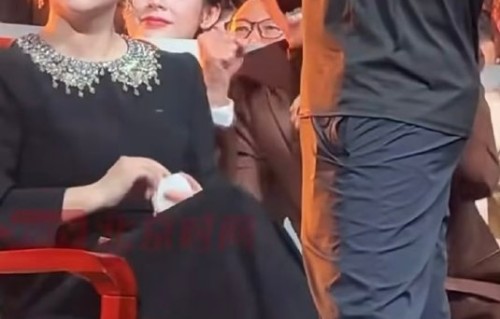 梁家辉与陈丽君在电影《镖人》中饰演什么关系？