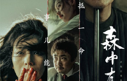 高圆圆这次在沈阳亚明市场路演具体是在宣传哪部新电影？