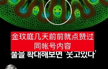 金冬天给田柾国点赞？时间线澄清真相