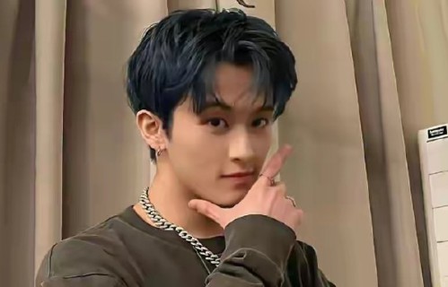 李马克在NCT DREAM告别演唱会上情绪崩溃的场景具体是怎样的？