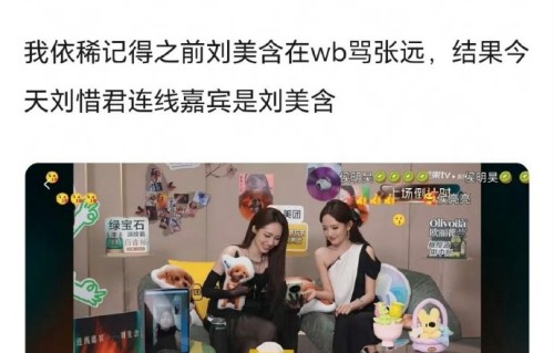 为何张远和刘美含的绯闻每隔一段时间就会重新被提起？