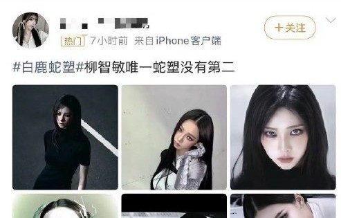 白鹿柳智敏“蛇系”标签之争，背后是营销号策划？