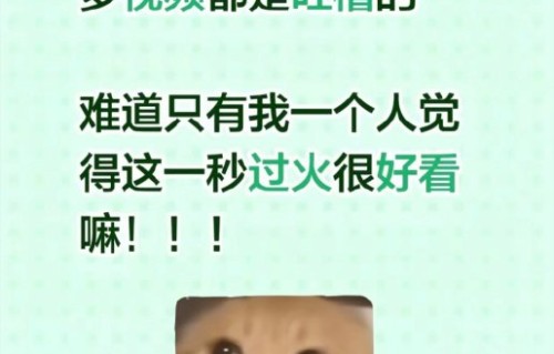 剧集更新节奏能否满足追剧需求？