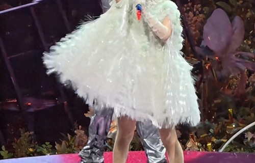 谢娜演唱会上座率曝光，现场观众评价太真实，担心的事还是发生了|上座率|何炅|张杰|林志颖|演唱会|谢娜