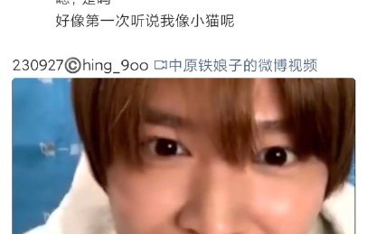 什么是粉丝文化里的偶像猫塑？