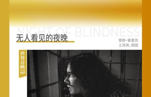 三部国产片入围上影节主竞赛，张颂文、文淇分头冲击金爵帝后|上海国际电影节金爵奖|钟凯|纸盒藏迷|大西洋底来的人|敲碎爸爸的头盖骨