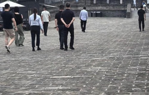 网友西安城墙偶遇王菲漫游城墙，隔天在男友谢霆锋演唱会上嗨疯了