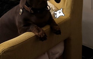 赵露思解释式幽默太圈粉！看她如何用一句话化解全场尴尬