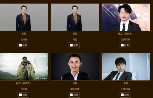 新浪:金鹰奖投票曝光演员本名