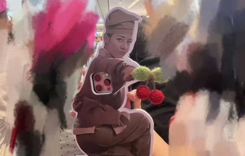 粉丝的手机壳上印了什么画面让迪丽热巴破防？