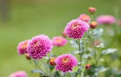 43.5%的Z世代陷入抑郁，你还觉得自己命不好？