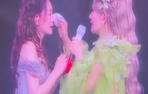 谢娜演唱会上的具体互动环节和感人瞬间有哪些？