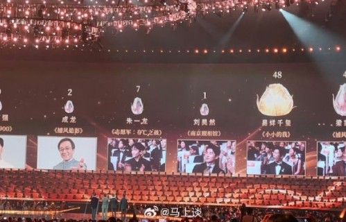 为什么沈腾王宝强作为高票房演员却拿不到评委票？