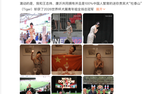 霍思燕的狗狗又获奖了！“霍蜜蜡小姐”获得中型贵宾犬意大利世界杯青年冠军第一名